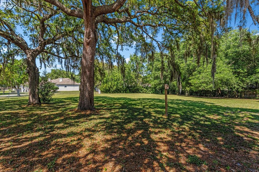 1503 Foxden Road Apopka, FL 32712 - Photo 35 of 45