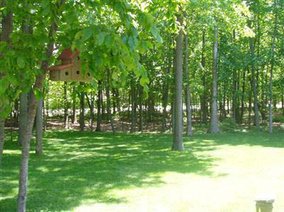 7285 North Nichols Road Flushing, MI 48433 - Photo 11 of 12 20176192-11.JPG