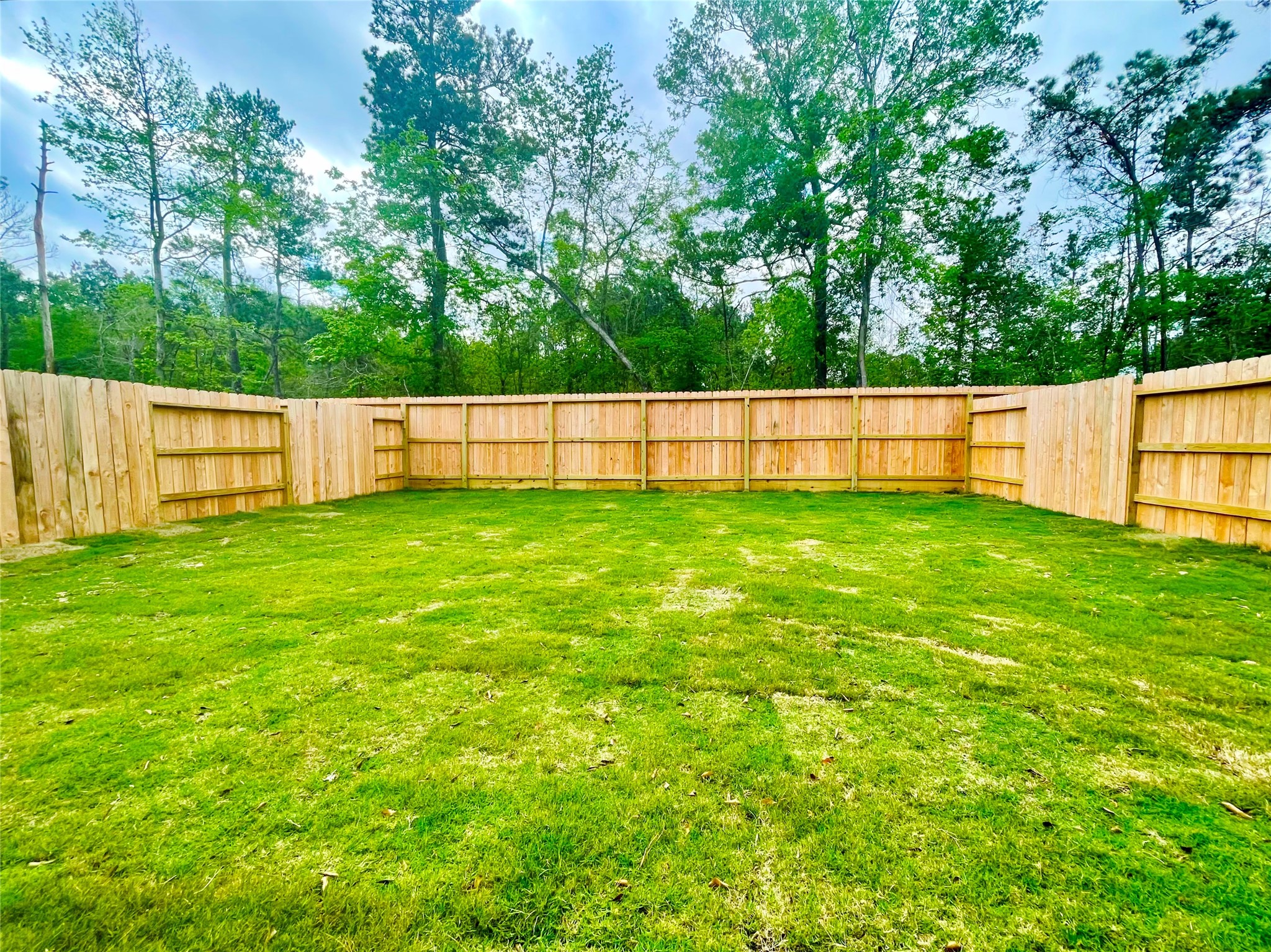 17526 Rosette Grass Conroe, TX 77385 - Photo 22 of 49 a view of a yard with large trees and wooden fence