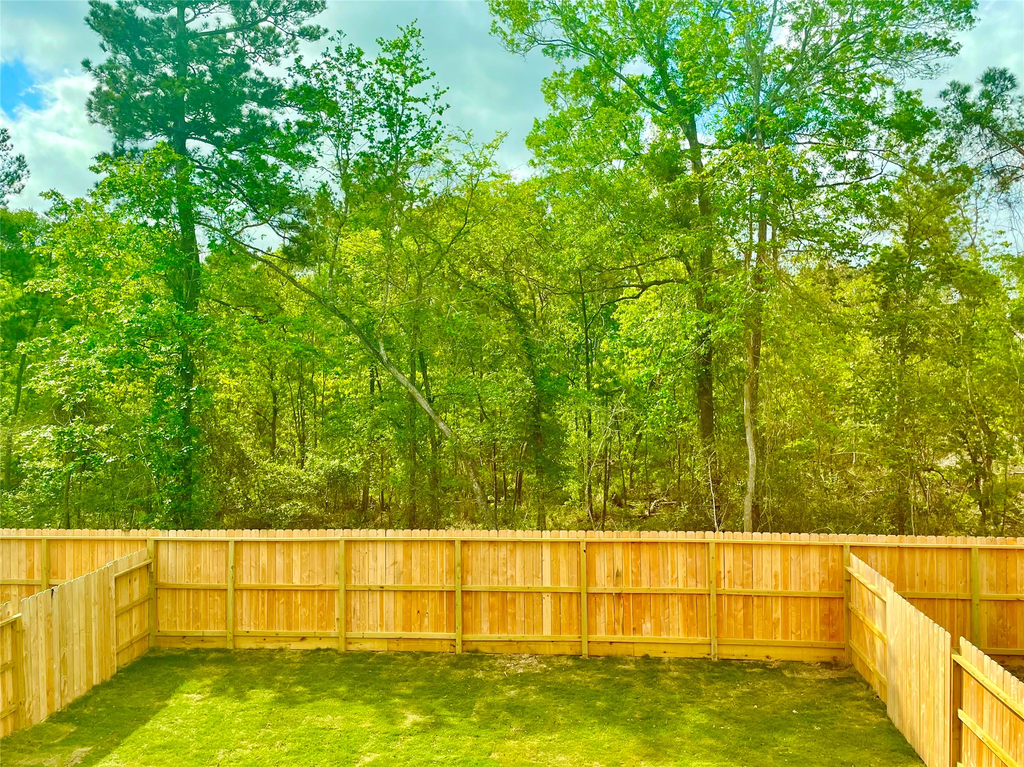 17526 Rosette Grass Conroe, TX 77385 - Photo 27 of 49 a view of outdoor space and swimming pool