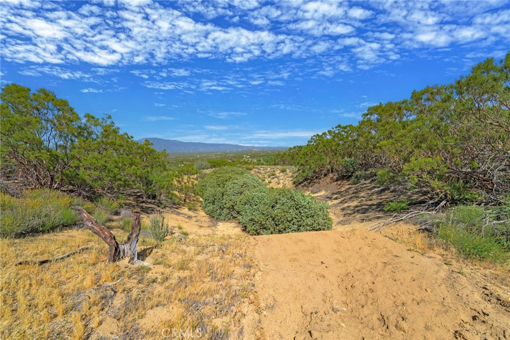 0 Springs Trail Anza, CA 92539 - Photo 35 of 40 a view of a yard with an trees