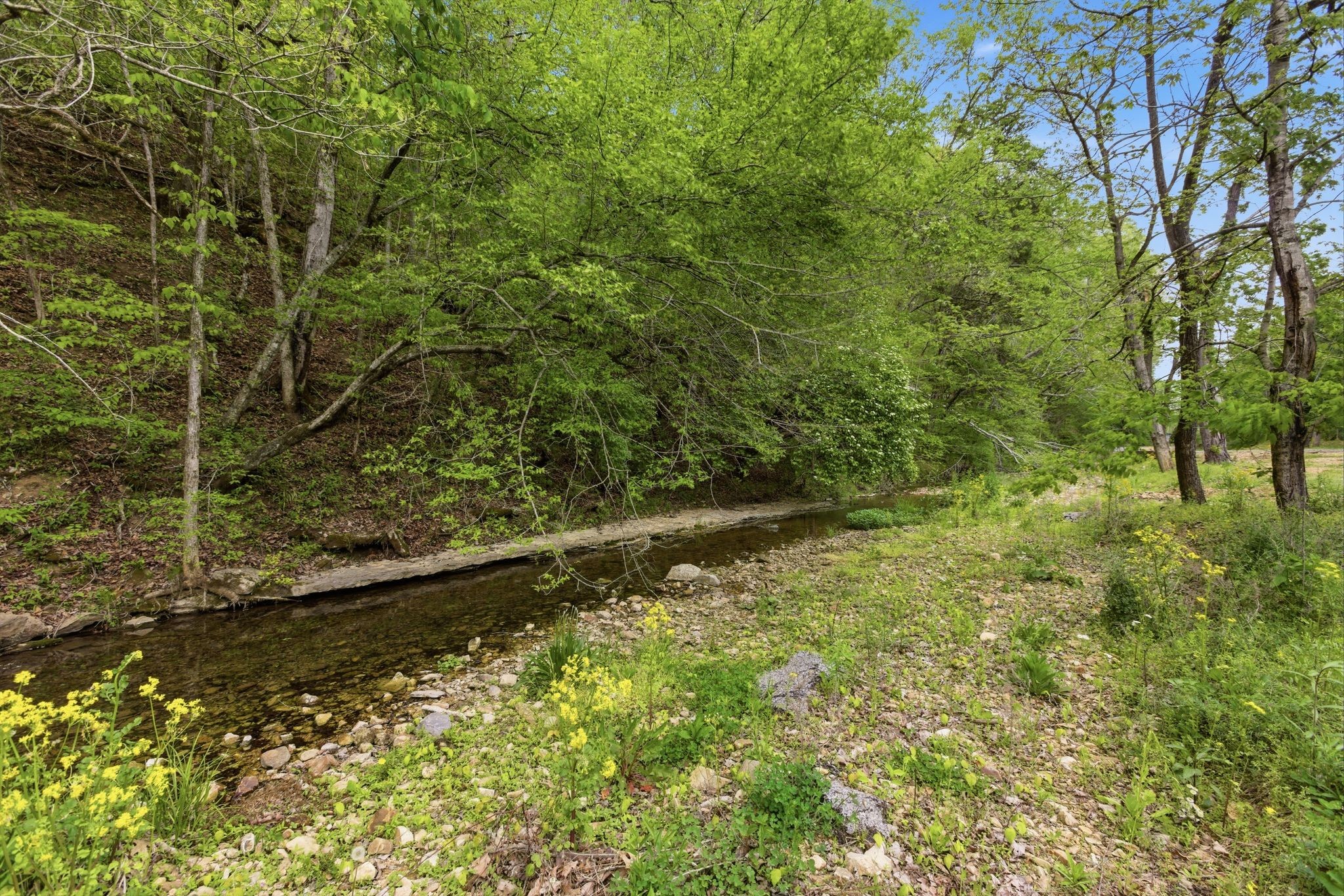 580 Defeated Creek Road Centerville, TN 37033 - Photo 51 of 71