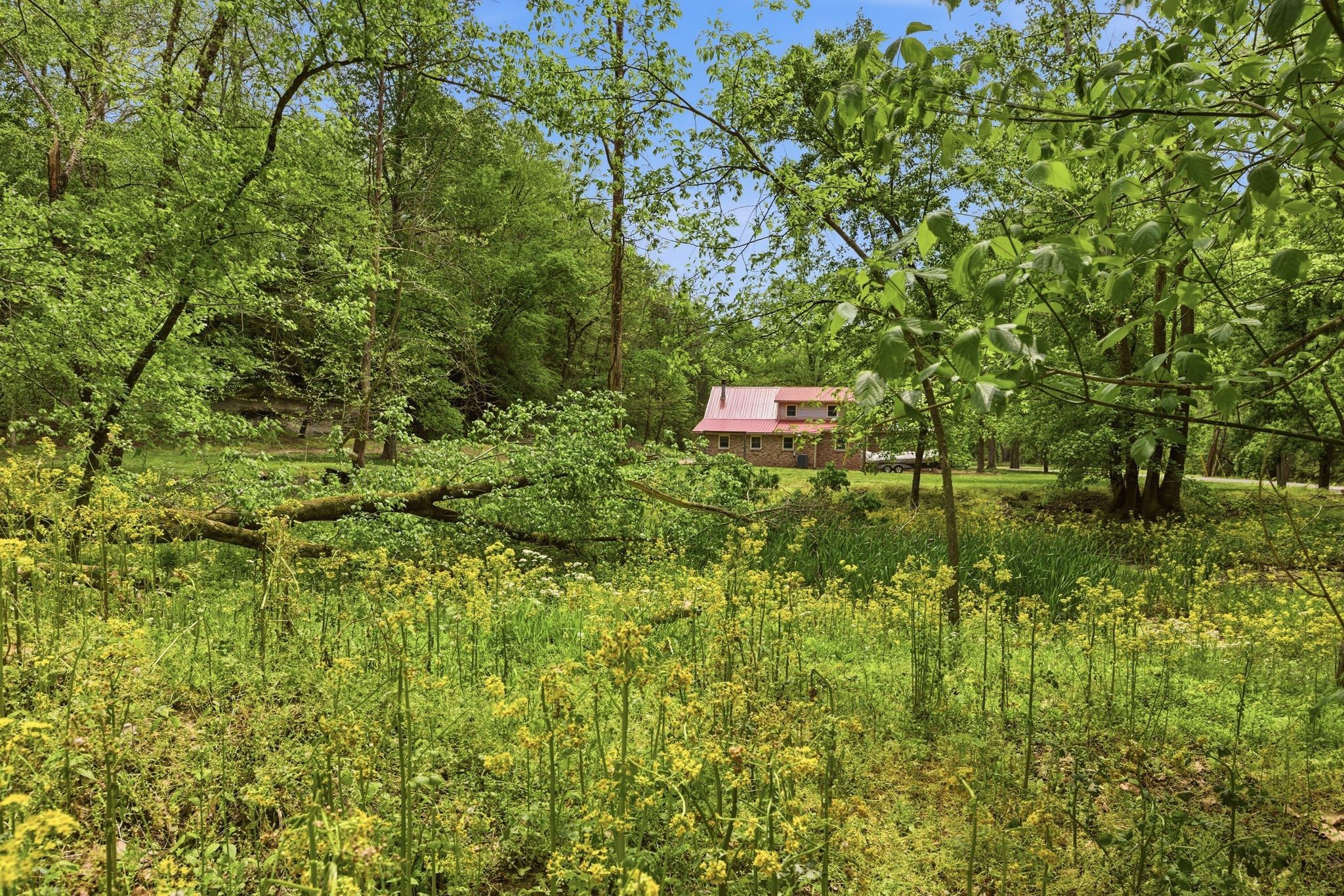 580 Defeated Creek Road Centerville, TN 37033 - Photo 60 of 71