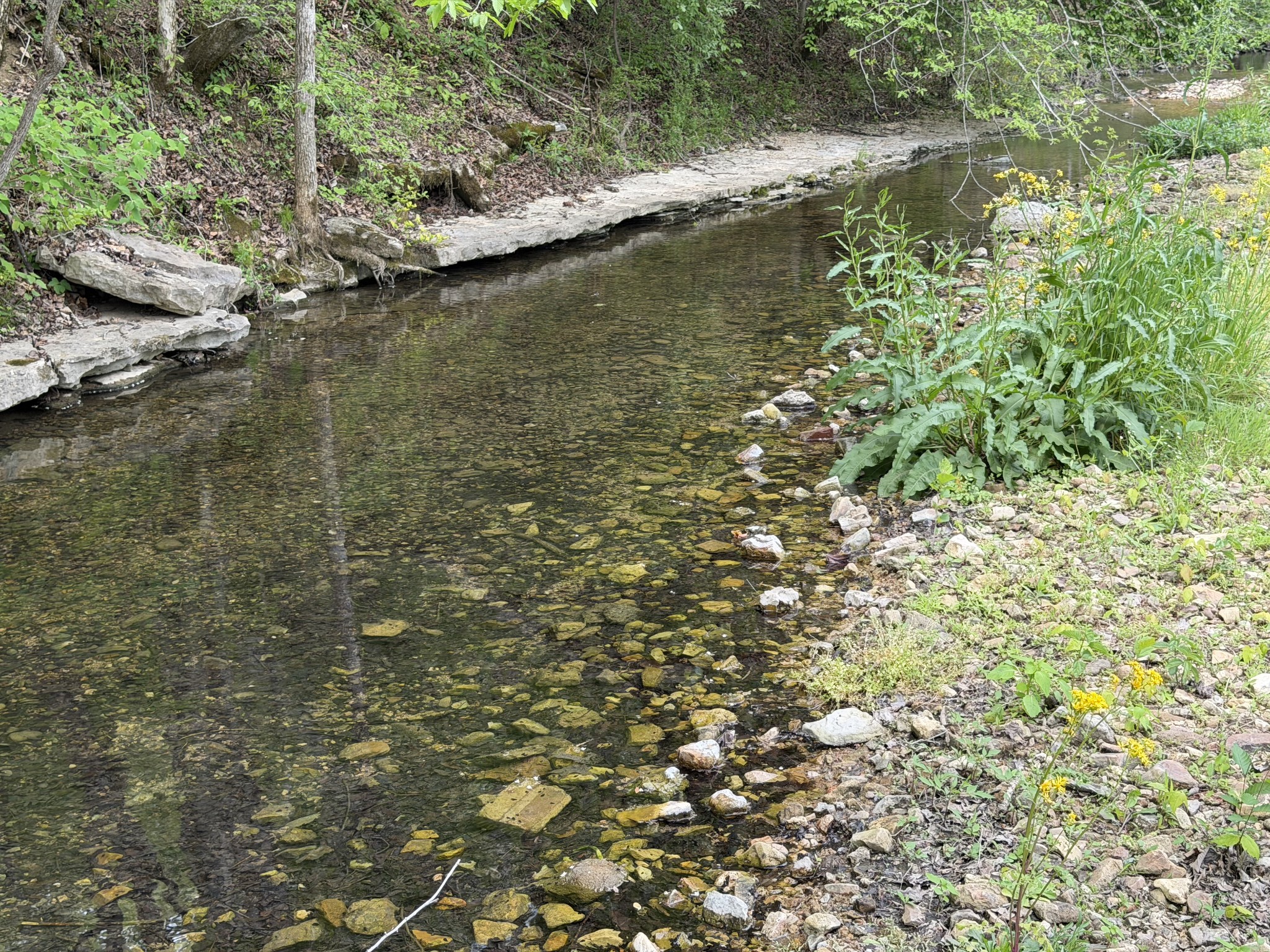 580 Defeated Creek Road Centerville, TN 37033 - Photo 64 of 71