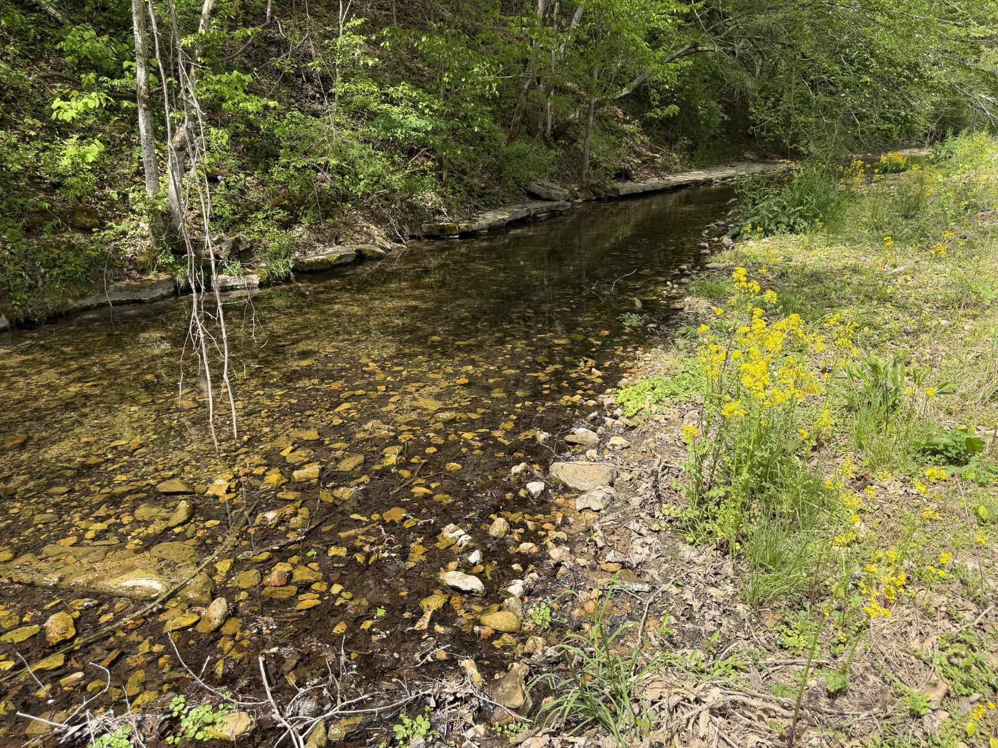 580 Defeated Creek Road Centerville, TN 37033 - Photo 65 of 71