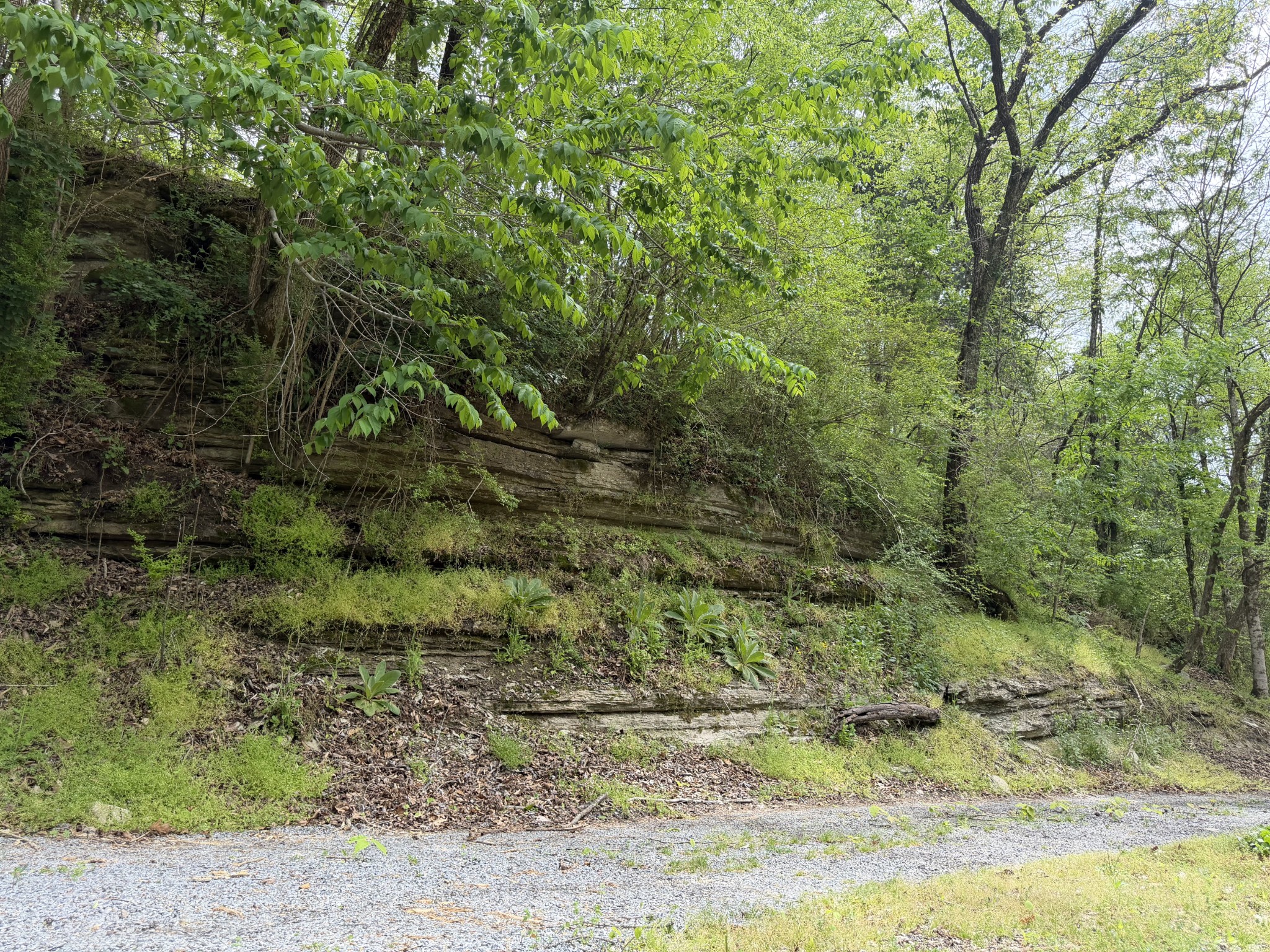 580 Defeated Creek Road Centerville, TN 37033 - Photo 66 of 71