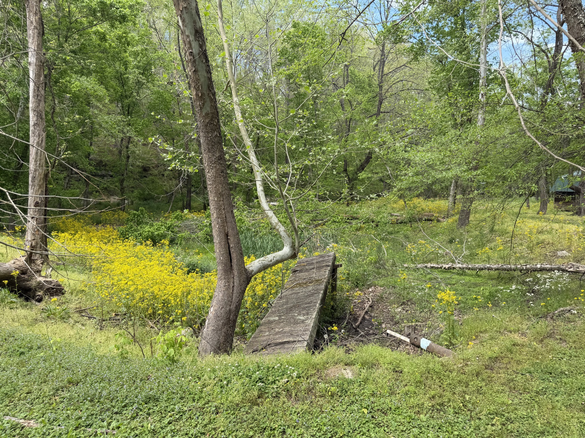 580 Defeated Creek Road Centerville, TN 37033 - Photo 68 of 71