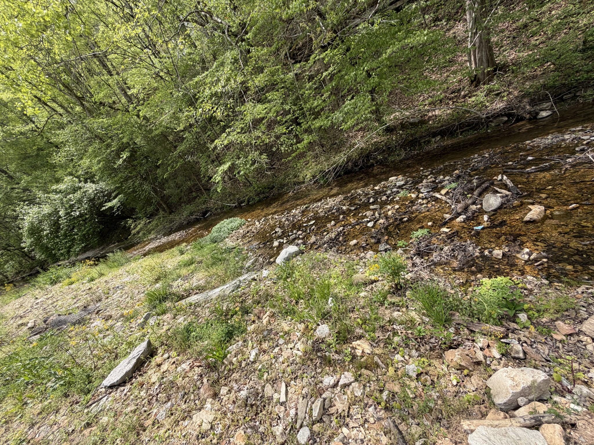 580 Defeated Creek Road Centerville, TN 37033 - Photo 71 of 71