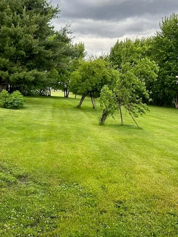 a view of an outdoor space and a yard
