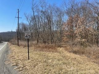 0 Millerstown Road Tarentum, PA 15084 - Photo 1 of 3 a view of a dry yard