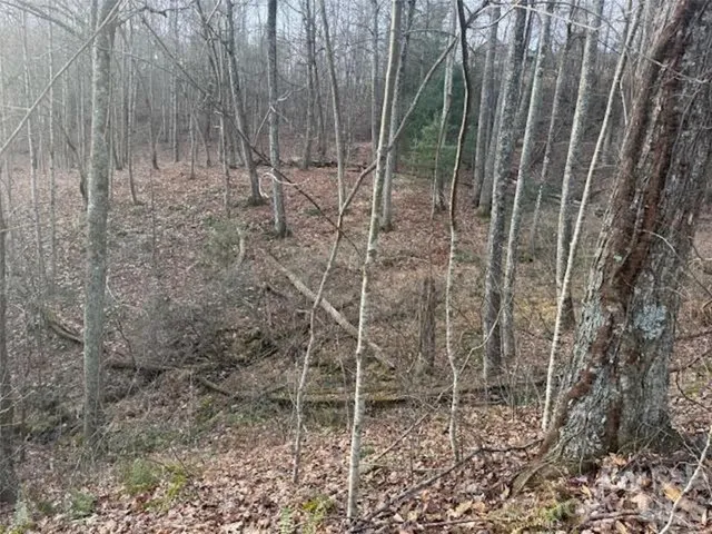 a view of a pathway with a wooden fence