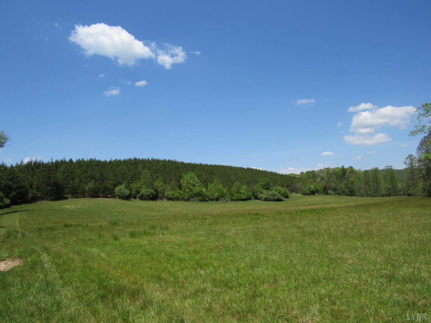 a view of a field with an ocean