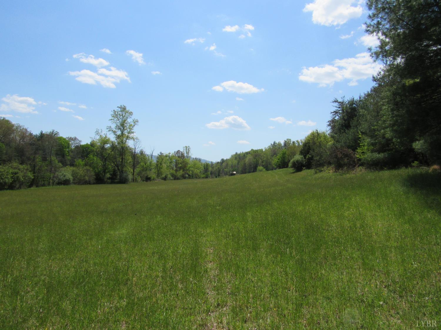 63 Sugar Hill Tunnel Road Amherst, VA 24521 - Photo 13 of 20 a view of a green field with trees in the background