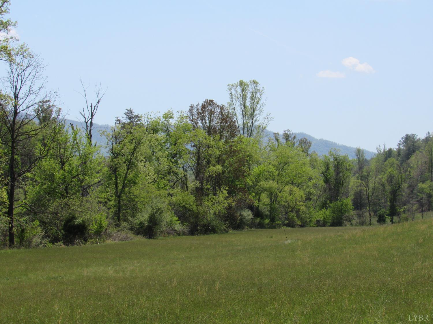 63 Sugar Hill Tunnel Road Amherst, VA 24521 - Photo 14 of 20 a view of a field with trees in background