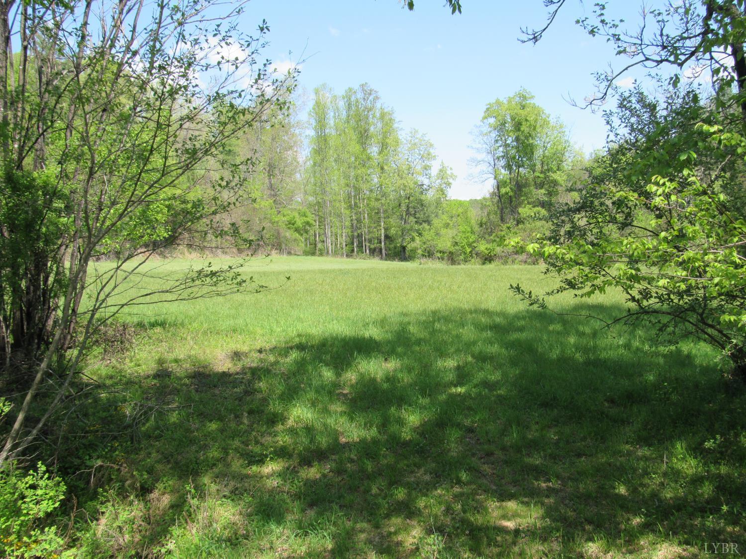 63 Sugar Hill Tunnel Road Amherst, VA 24521 - Photo 15 of 20 a view of an outdoor space with a lake view