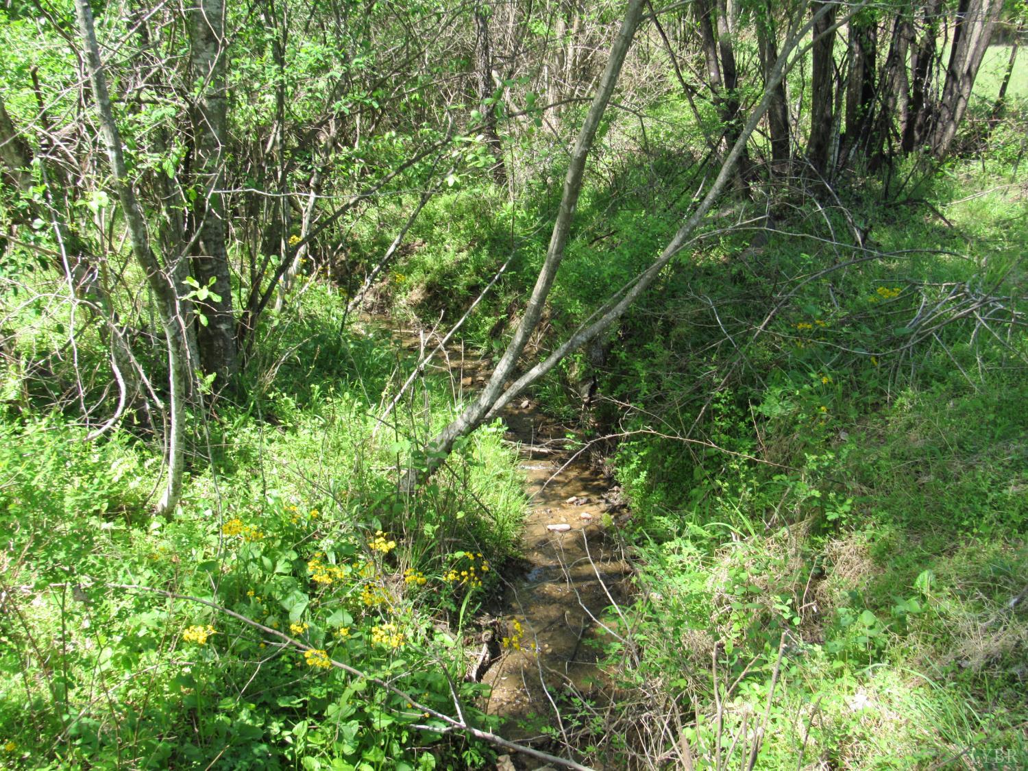 63 Sugar Hill Tunnel Road Amherst, VA 24521 - Photo 16 of 20 a view of a lush green forest