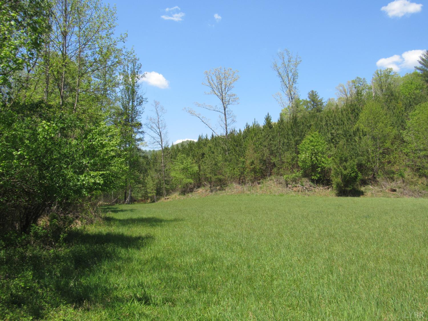 63 Sugar Hill Tunnel Road Amherst, VA 24521 - Photo 17 of 20 a view of outdoor space and yard