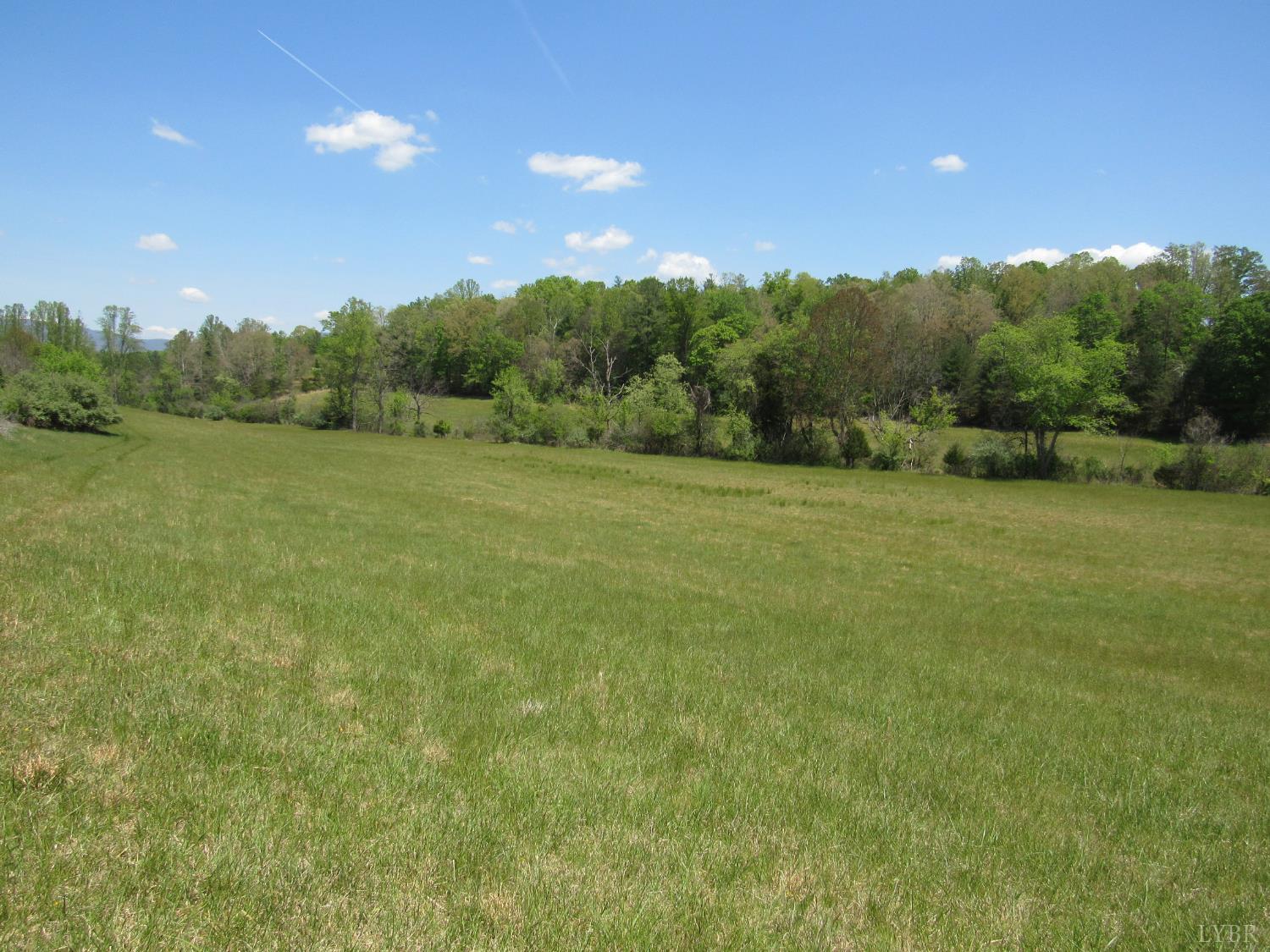 63 Sugar Hill Tunnel Road Amherst, VA 24521 - Photo 19 of 20 a view of outdoor space and yard