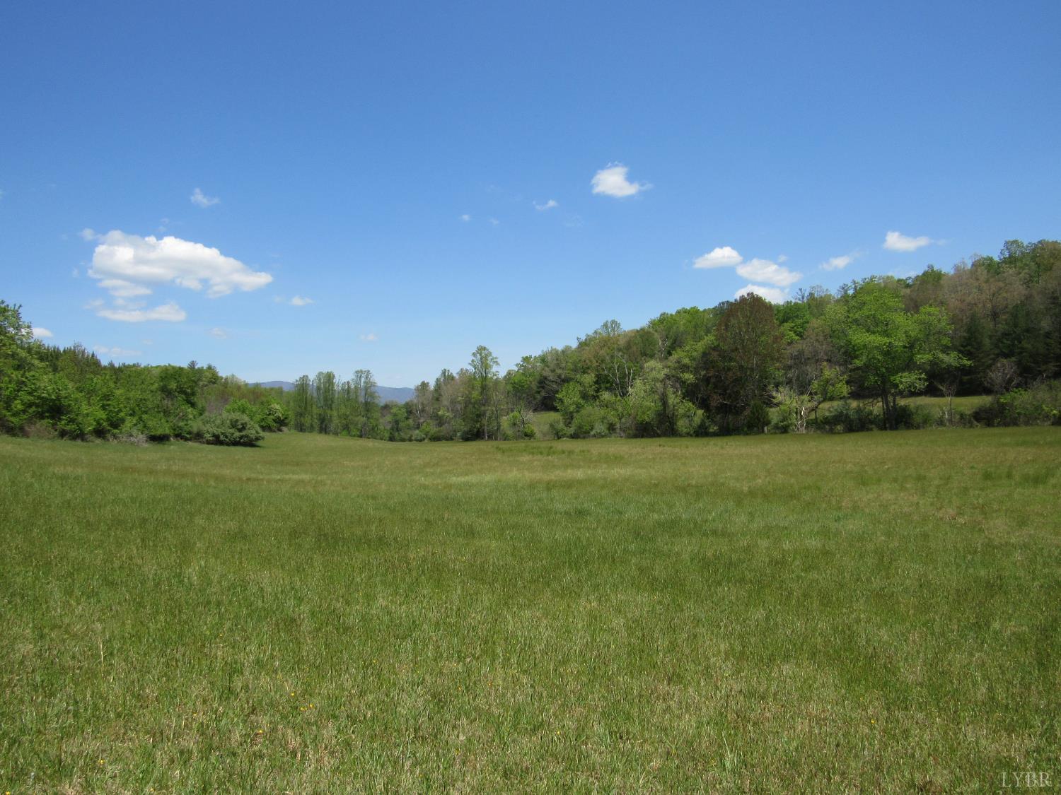 63 Sugar Hill Tunnel Road Amherst, VA 24521 - Photo 5 of 20 a view of an outdoor space and yard