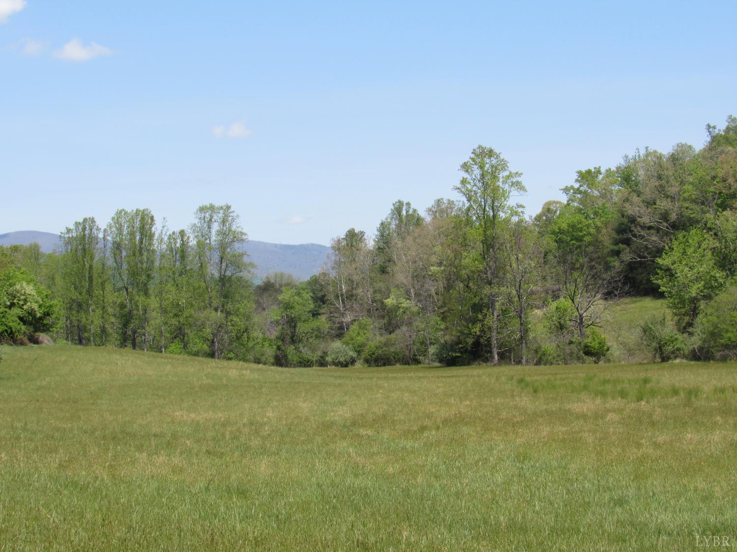 63 Sugar Hill Tunnel Road Amherst, VA 24521 - Photo 6 of 20 a view of a field with trees in background