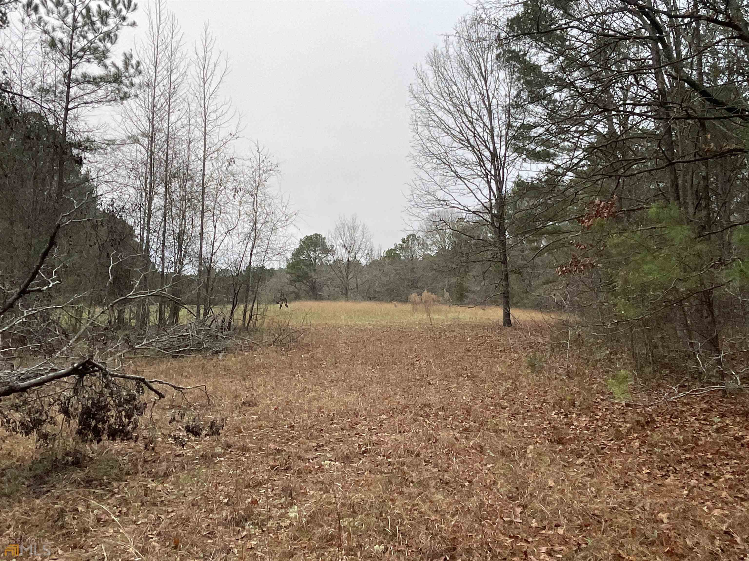 -east Tract) Kelley Road Brooks, GA 30205 - Photo 1 of 1 Gallery Image 1