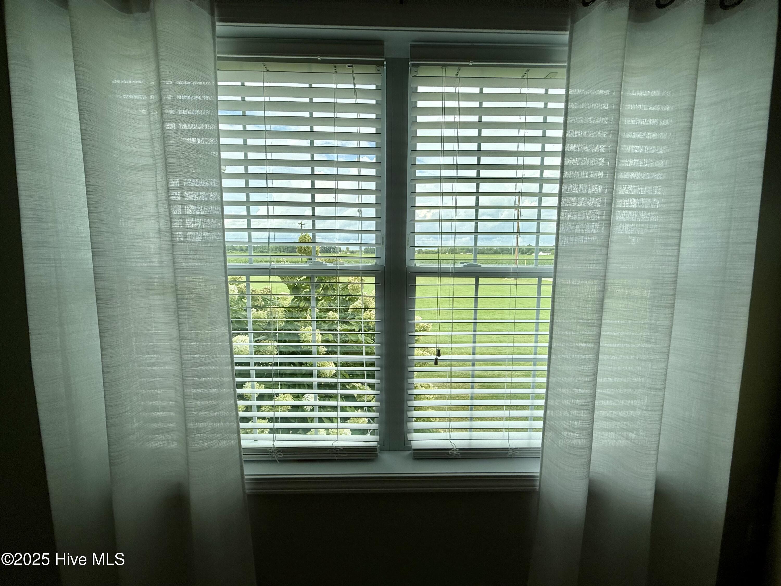 119 Cowpen Neck Road Edenton, NC 27932 - Photo 27 of 39 View of the front yard