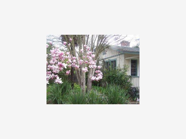 114 College Road Watsonville, CA 95076 - Photo 1 of 8 Gallery Image 1