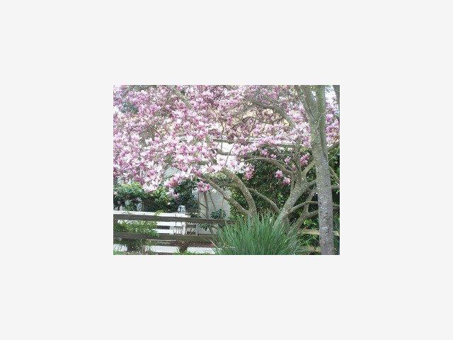114 College Road Watsonville, CA 95076 - Photo 8 of 8 Gallery Image 8