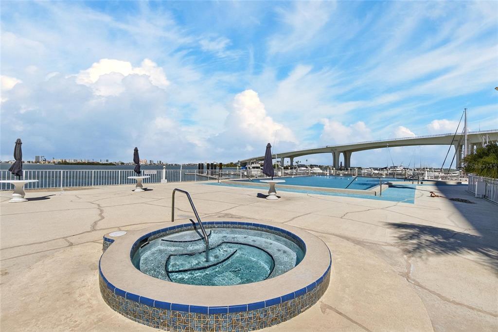 100 Pierce Street, Unit 703 Clearwater, FL 33756 - Photo 43 of 70 a view of a swimming pool with a lounge chair