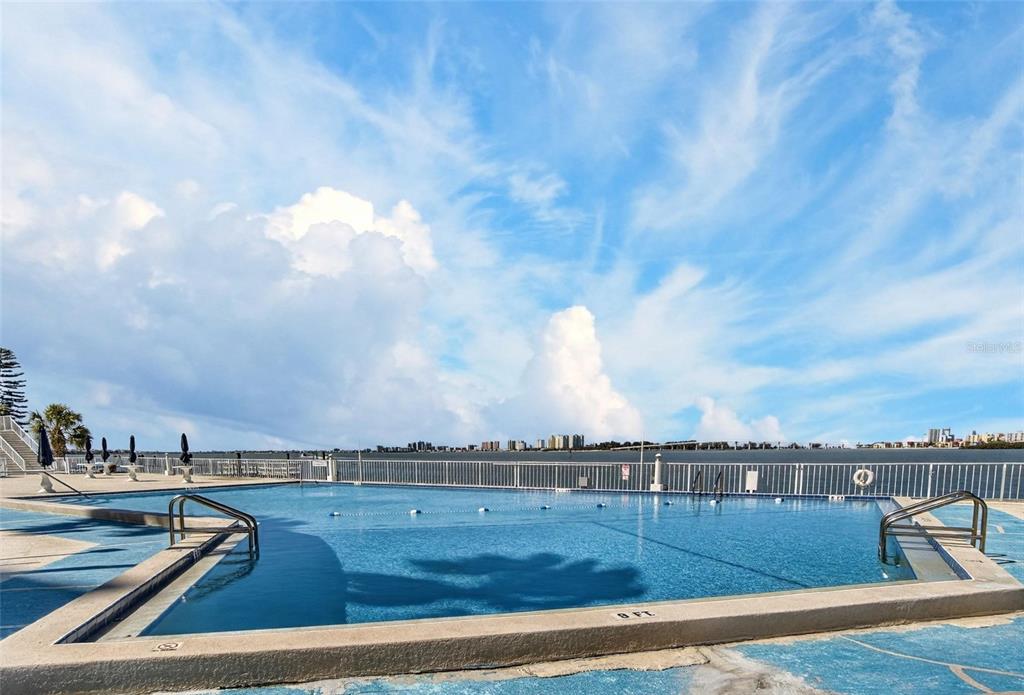 100 Pierce Street, Unit 703 Clearwater, FL 33756 - Photo 46 of 70 a view of a swimming pool and lake from nearby