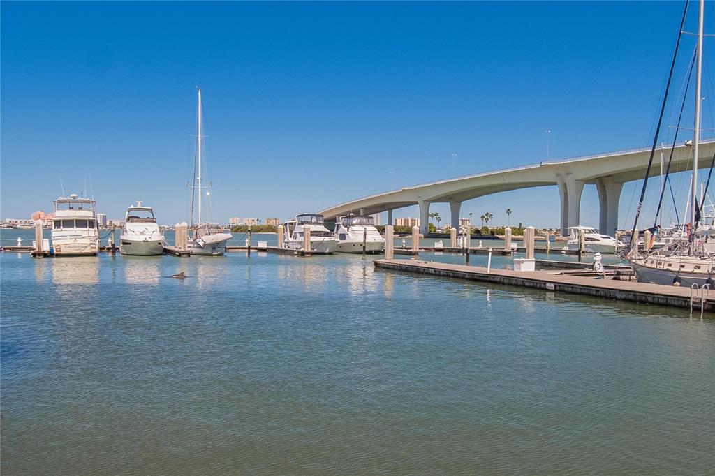 100 Pierce Street, Unit 703 Clearwater, FL 33756 - Photo 67 of 70 a view of a lake view