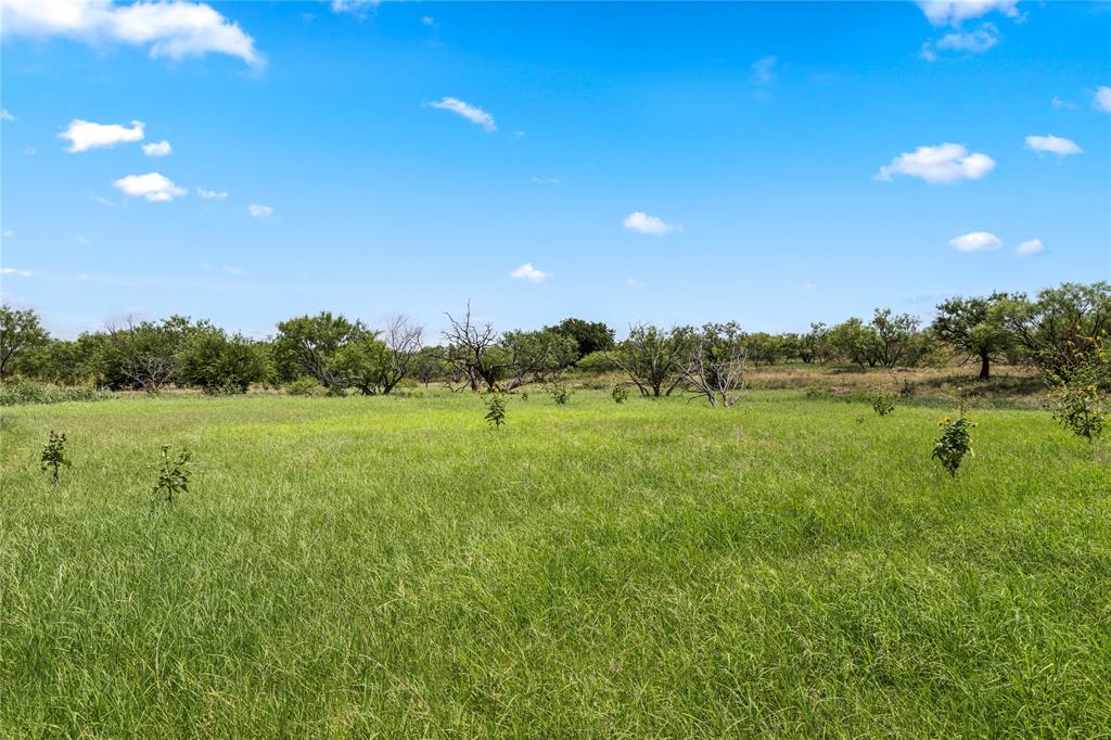 1 Fm 604 Road Clyde, TX 79510 - Photo 26 of 32 Gallery Image 26