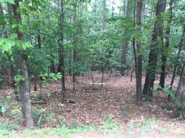 409 Top Ridge Drive, Unit F 112 Sunset, SC 29685 - Photo 1 of 13