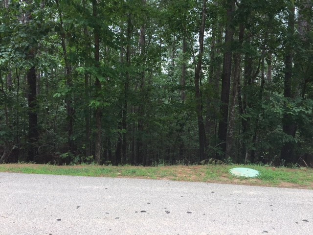 409 Top Ridge Drive, Unit F 112 Sunset, SC 29685 - Photo 2 of 13