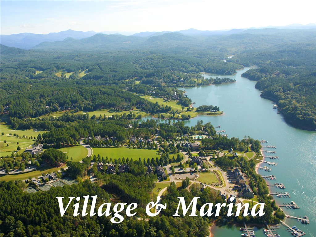 409 Top Ridge Drive, Unit F 112 Sunset, SC 29685 - Photo 7 of 13