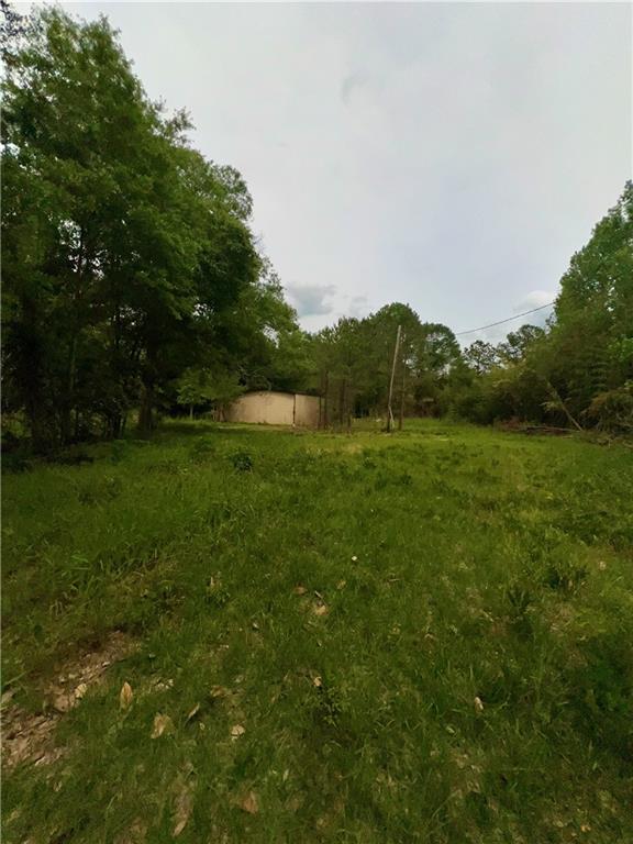 Nhn Dollar Road Angie, LA 70426 - Photo 6 of 7