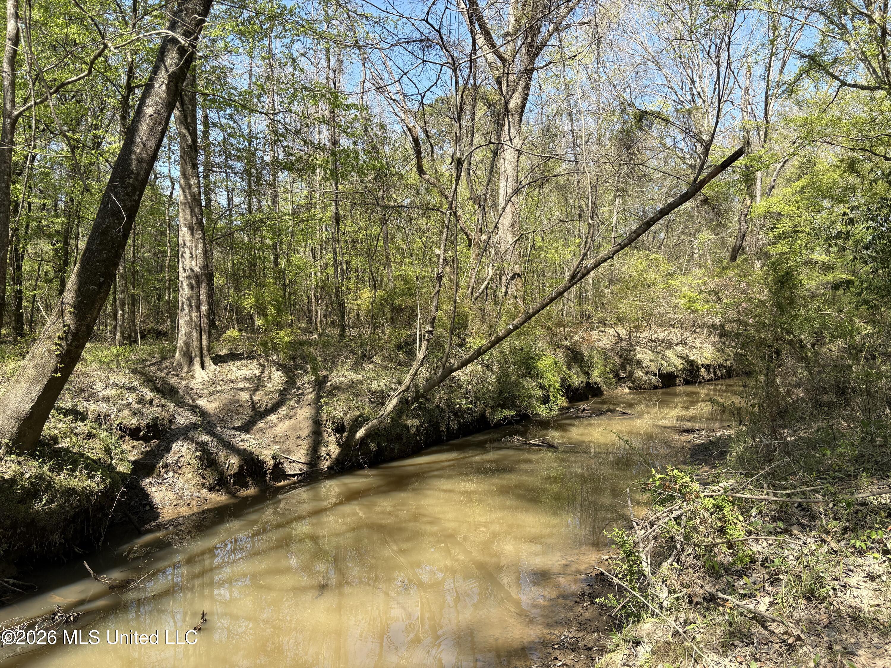 Southwest Auburn Drive Southwest Bogue Chitto, MS 39629 - Photo 22 of 38 IMG_2906