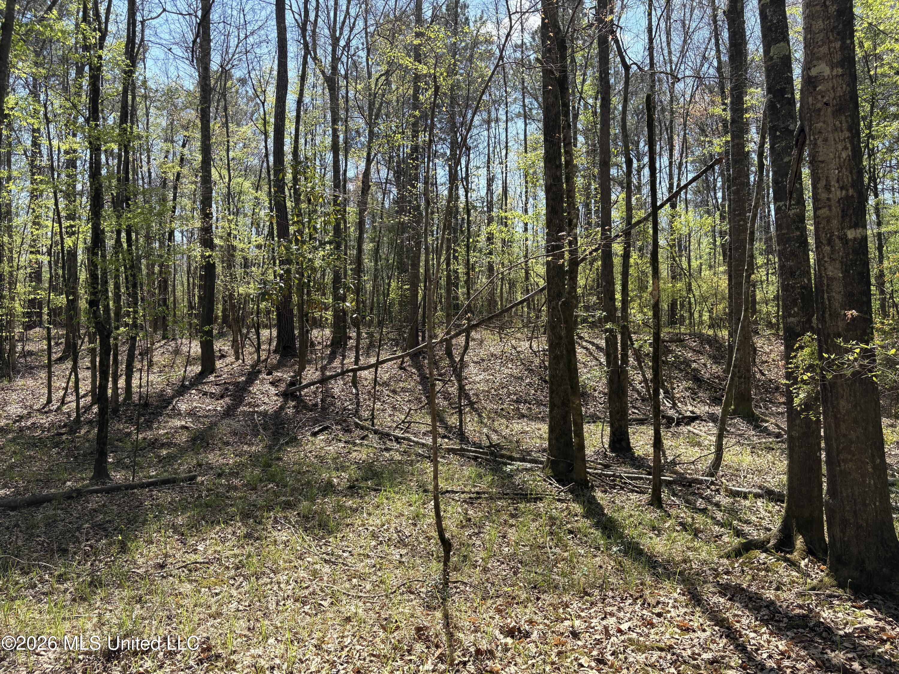 Southwest Auburn Drive Southwest Bogue Chitto, MS 39629 - Photo 26 of 38 IMG_2900