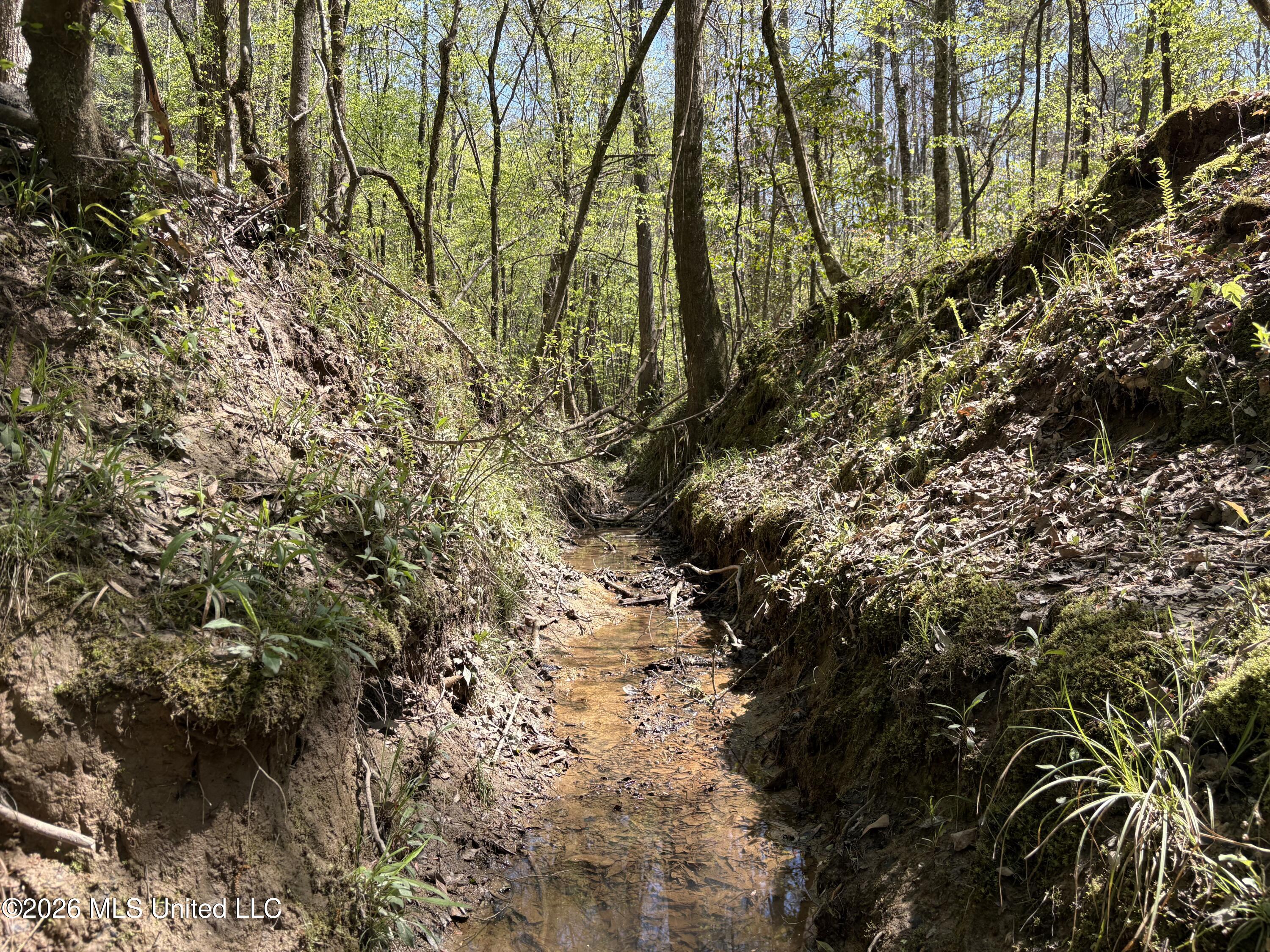 Southwest Auburn Drive Southwest Bogue Chitto, MS 39629 - Photo 28 of 38 IMG_2896