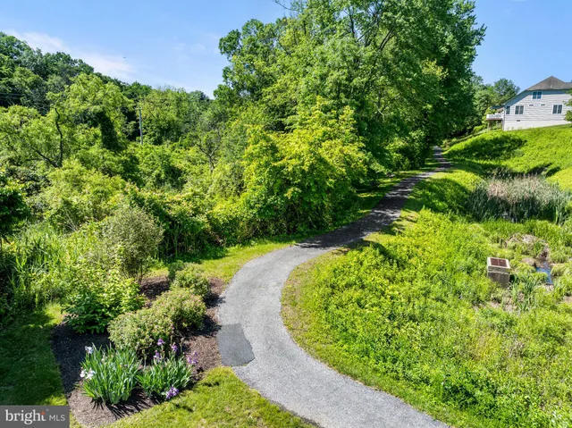 a view of a garden with a pathway