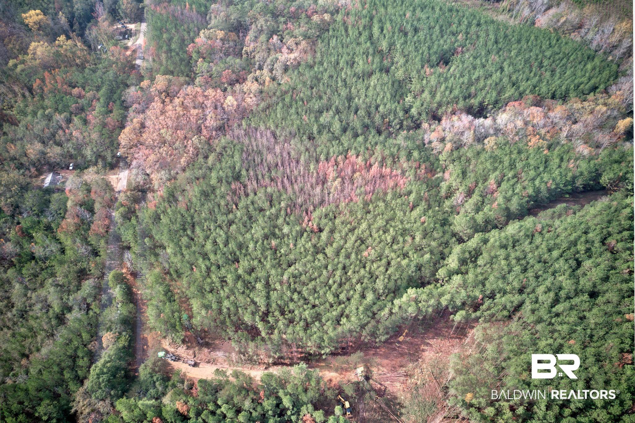 Old Greenville Road Evergreen, AL 36401 - Photo 16 of 16