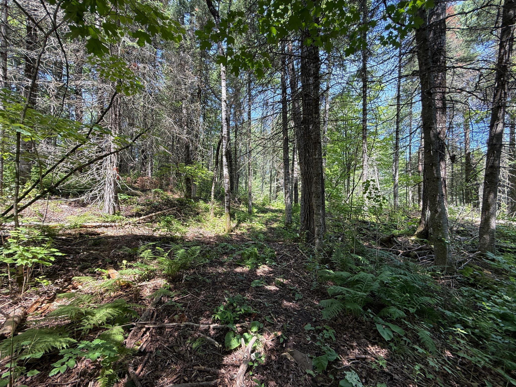 Tbd Arnold Road Duluth, MN 55803 - Photo 29 of 48 Gallery Image 29