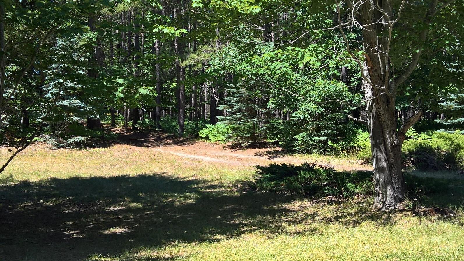 6224 Ranger Lake Road Gaylord, MI 49735 - Photo 29 of 30 Gallery Image 29