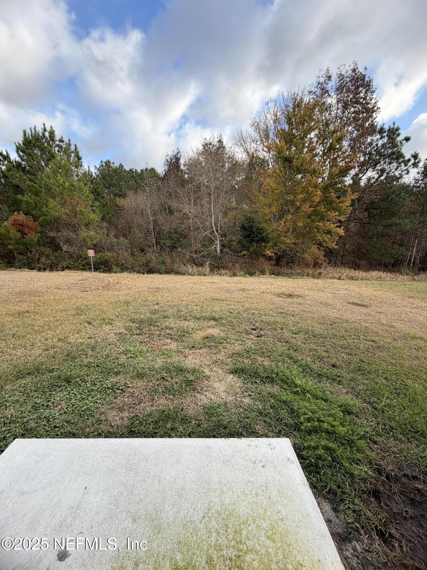 12853 Cacao Tree Trl. Jacksonville, FL 32218 - Photo 15 of 15 IMG_6697