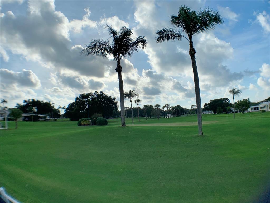 1100 South Belcher Road, Unit 663 Largo, FL 33771 - Photo 65 of 65 a view of a park