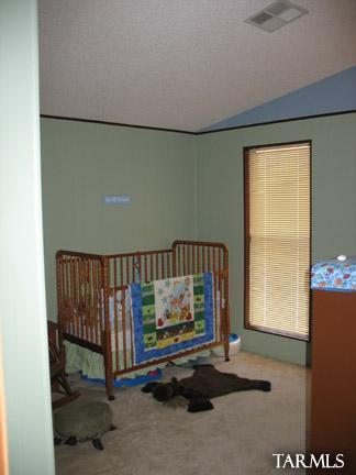 10020 West Picture Rocks Road Tucson, AZ 85743 - Photo 12 of 17 Gallery Image 12