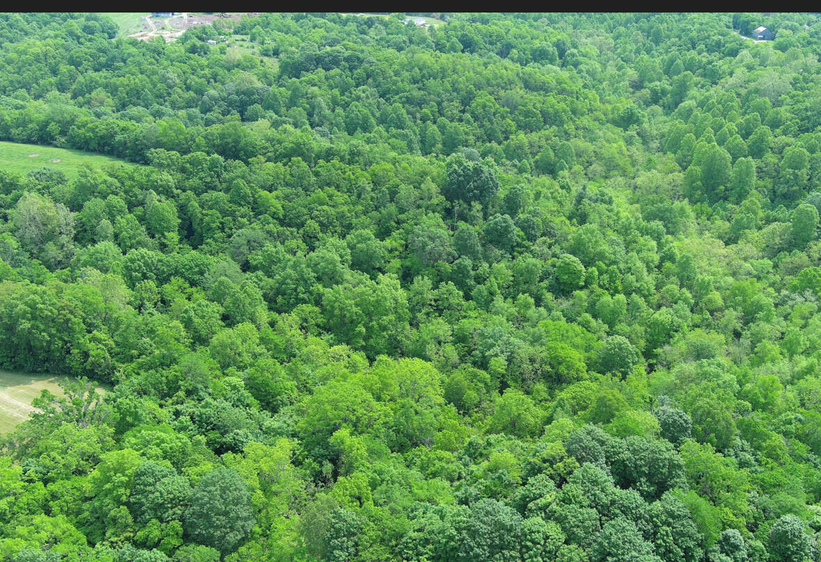 0 Pollard Road Nicholasville, KY 40356 - Photo 8 of 17 drone 4