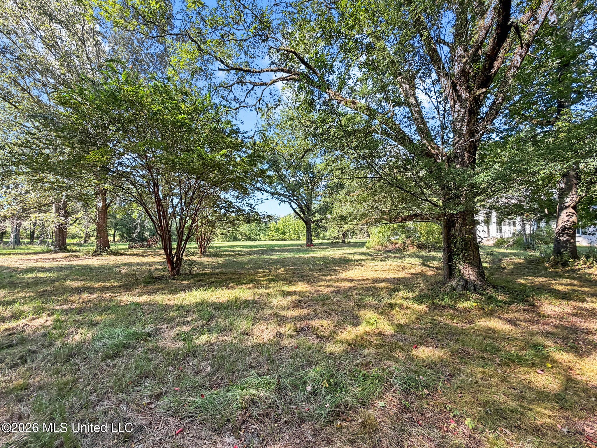 1194 Tom Kyzar Road Morton, MS 39117 - Photo 27 of 31 IMG_4380