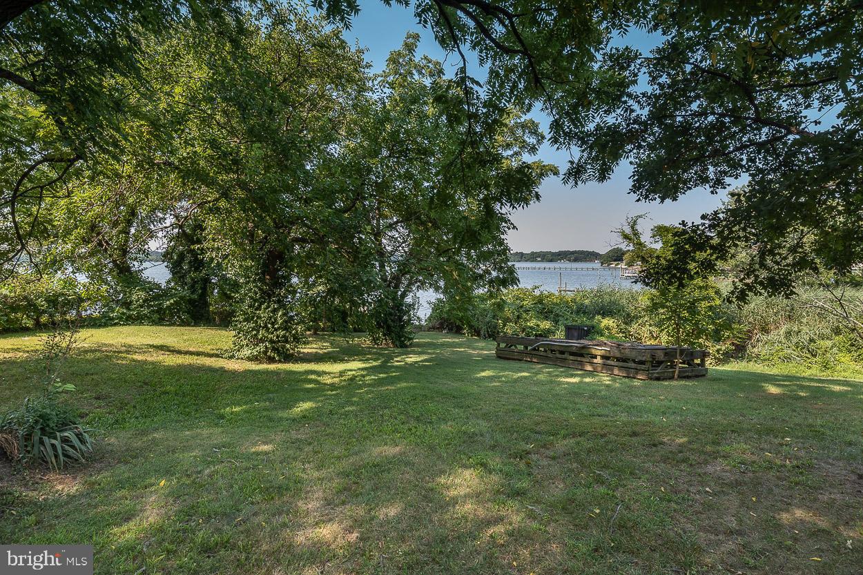 212 Riverside Drive Essex, MD 21221 - Photo 45 of 53 View from back yard