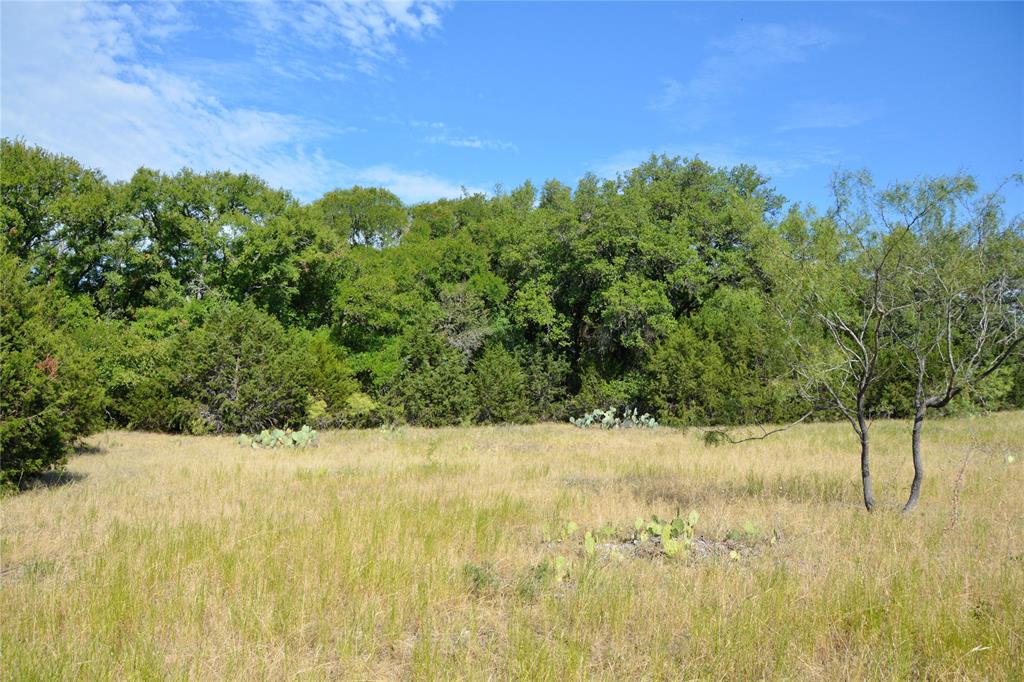 3400 Kempner Tx 76539 Kempner, TX 76539 - Photo 15 of 34 a view of a yard with a tree